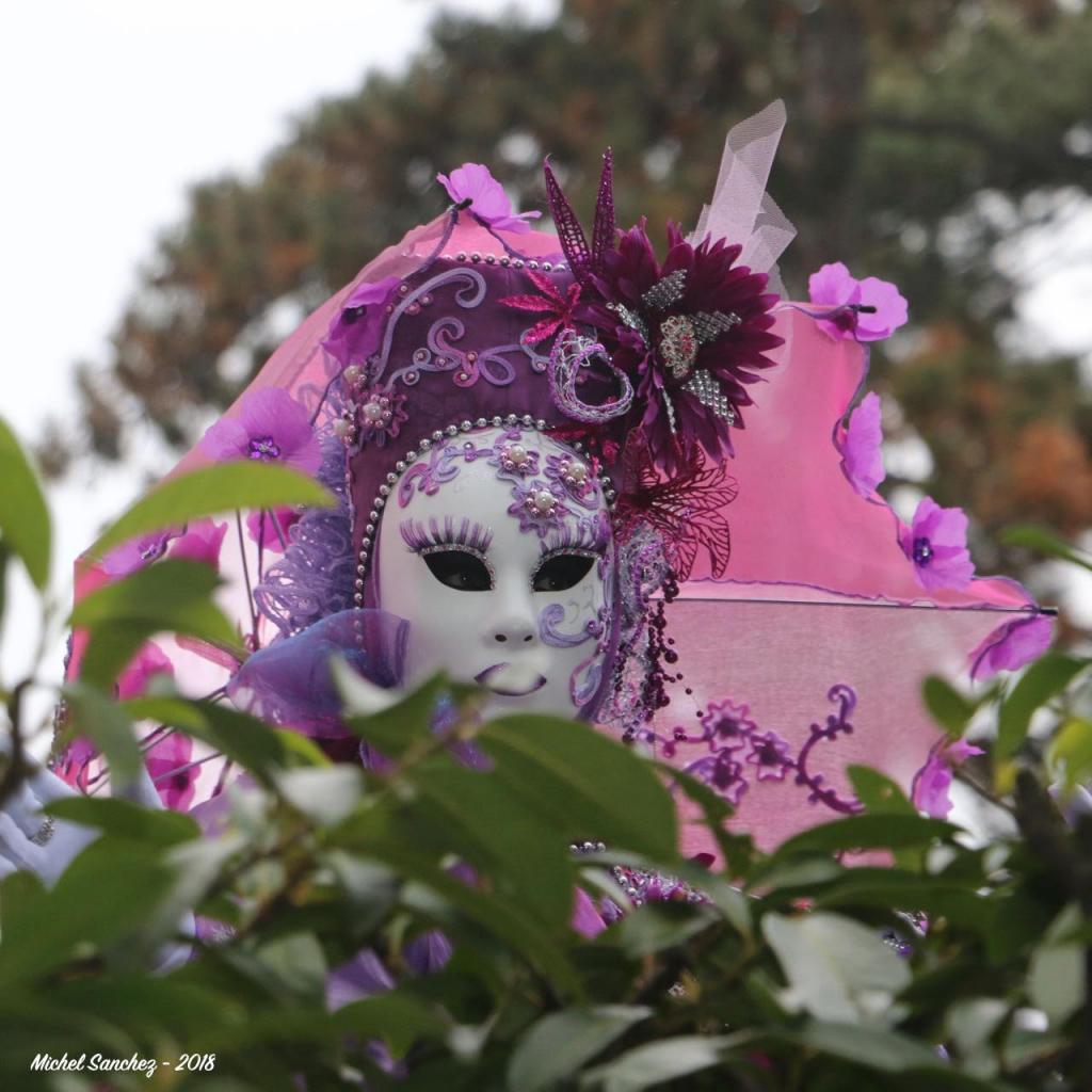 Michel SANCHEZ - Carnaval Vénitien Annecy 2018