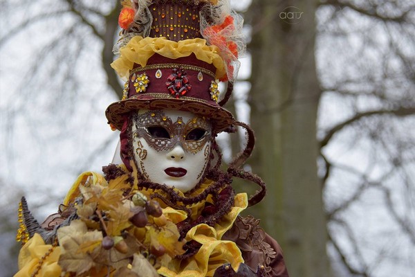 Aurélie ARROT - Carnaval Vénitien Annecy 2016