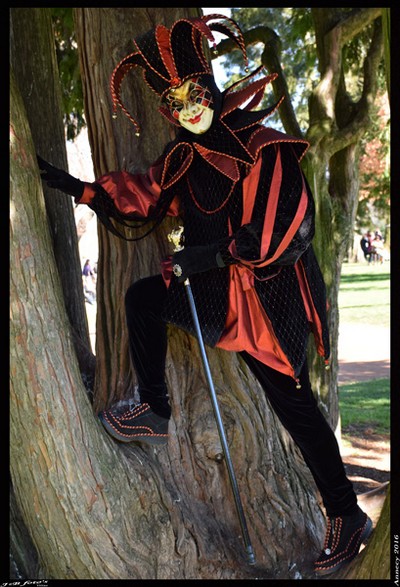 Bruno VAGNOTTI - Carnaval Vénitien Annecy 2016