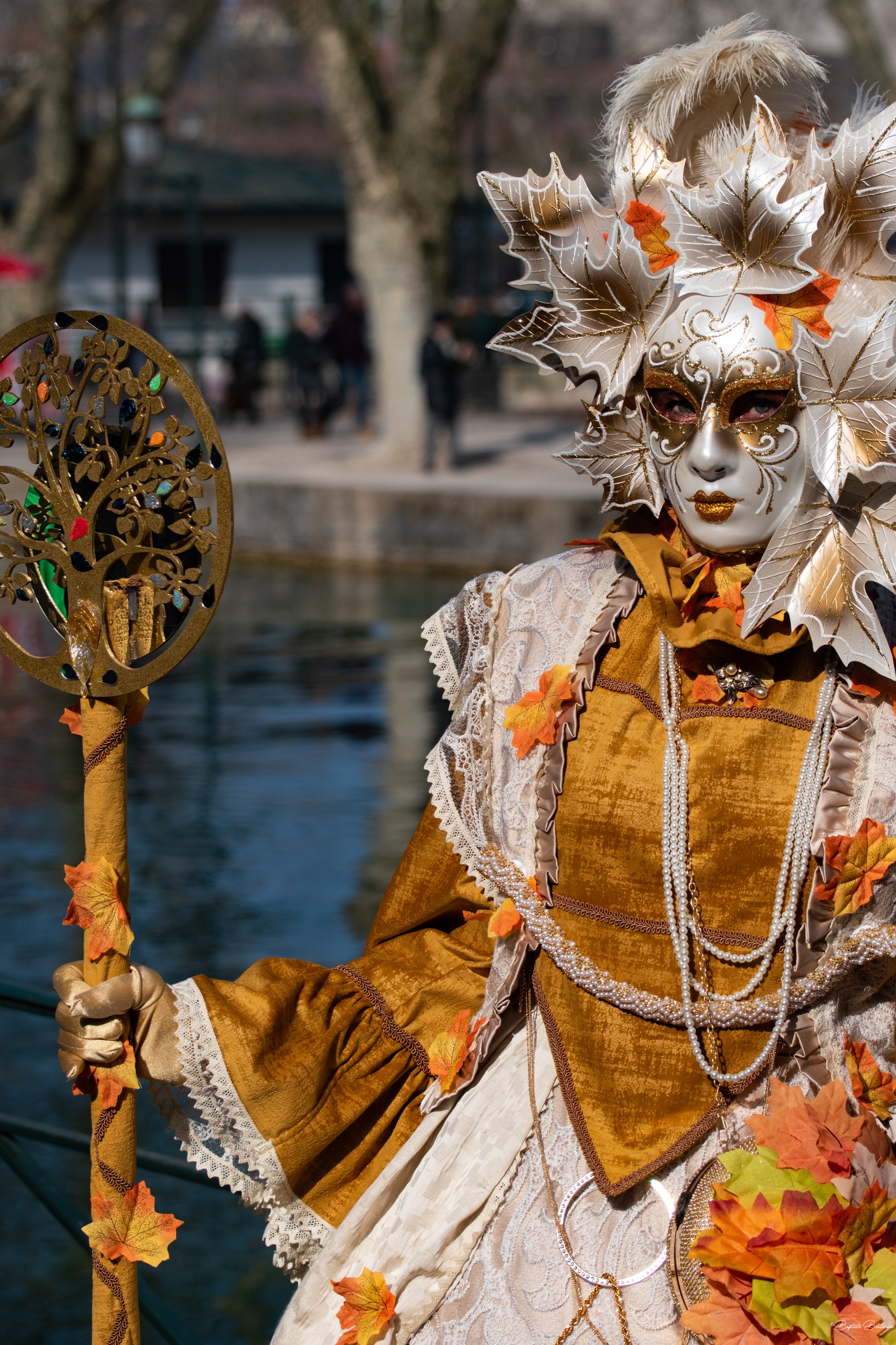 Annecy automne 1