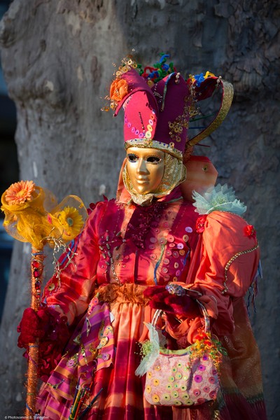 Bruno TONDELLIER - Carnaval Vénitien Annecy 2017 - 00010