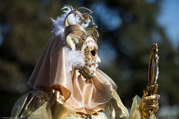 Bruno TONDELLIER - Carnaval Vénitien Annecy 2017 - 00023