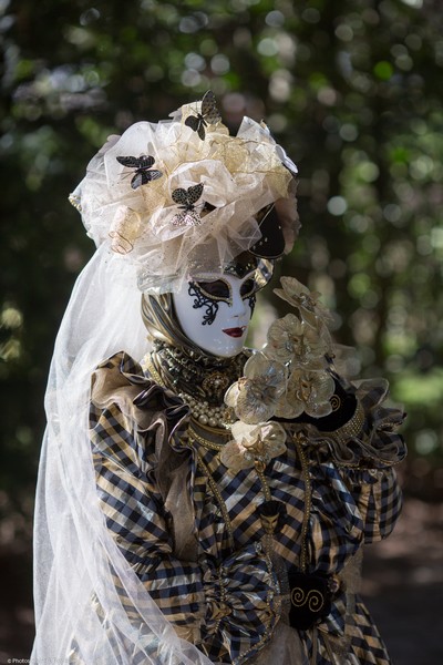 Bruno TONDELLIER - Carnaval Vénitien Annecy 2017 - 00025