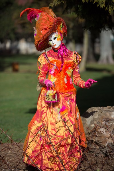 Bruno TONDELLIER - Carnaval Vénitien Annecy 2017 - 00028