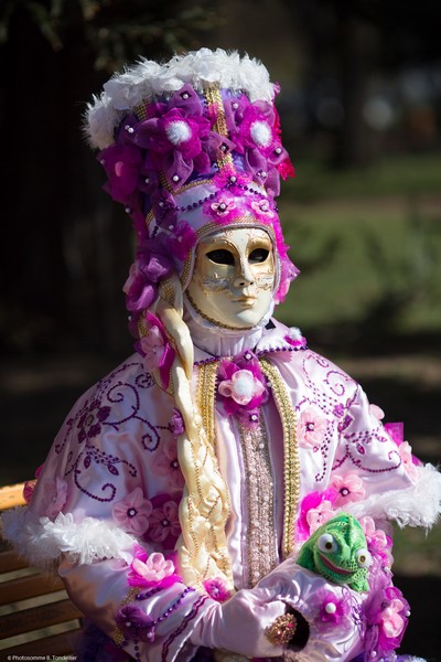 Bruno TONDELLIER - Carnaval Vénitien Annecy 2017 - 00029