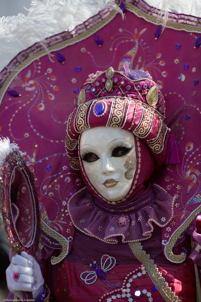 Bruno TONDELLIER - Carnaval Vénitien Annecy 2017 - 00031