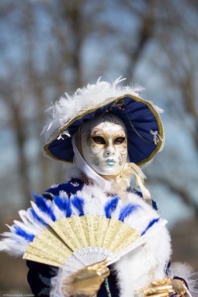 Bruno TONDELLIER - Carnaval Vénitien Annecy 2017 - 00034