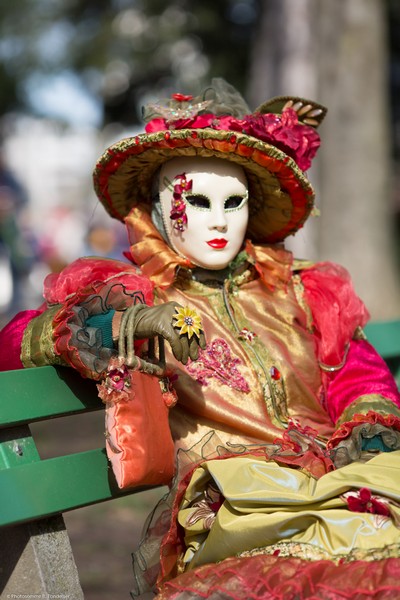 Bruno TONDELLIER - Carnaval Vénitien Annecy 2017 - 00041