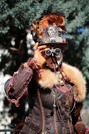 Olivier JAVAUDIN - Carnaval Vénitien Annecy 2016