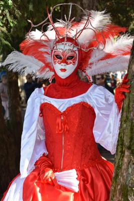 Carnaval Vénitien Annecy 2019 - 00002