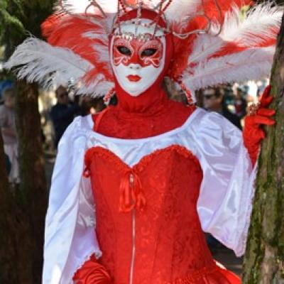 Carnaval Vénitien Annecy 2019 - 00002