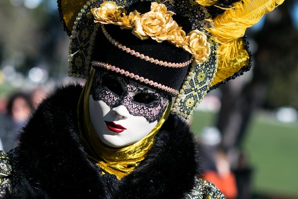 Carnaval Vénitien Annecy 2019 - 00002