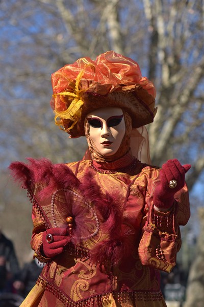 Carnaval Vénitien Annecy 2019 - 00002