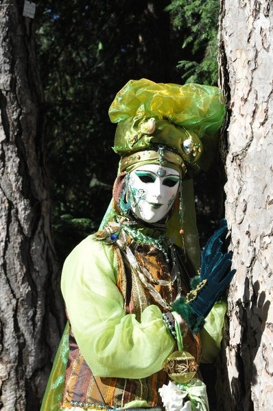 Carnaval Vénitien Annecy 2019 - 00003