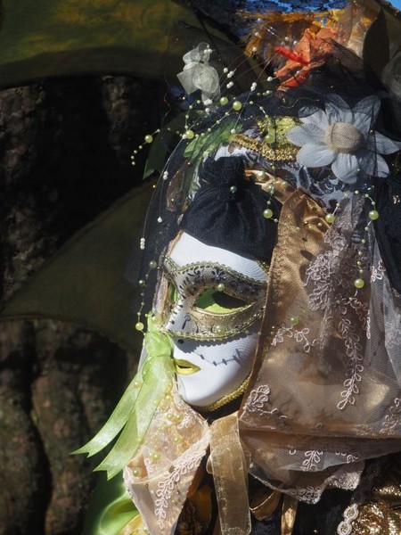  Michel SANCHEZ - Carnaval Vénitien Annecy 2019 - Carnaval Vénitien Annecy 2019