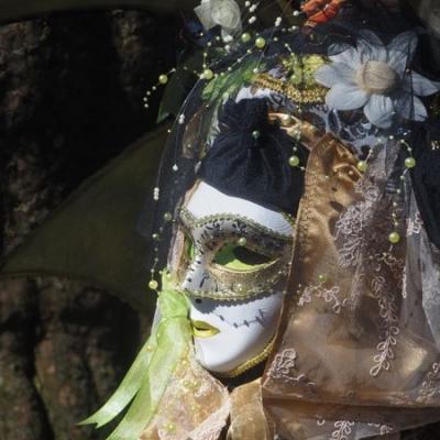  Michel SANCHEZ - Carnaval Vénitien Annecy 2019 - Carnaval Vénitien Annecy 2019