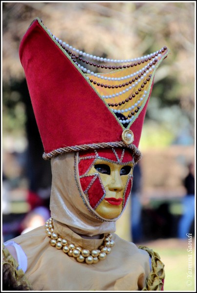 Carnaval Vénitien Annecy 2019 - 00006