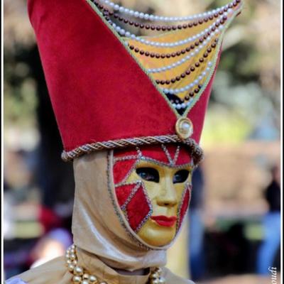 Carnaval Vénitien Annecy 2019 - 00006