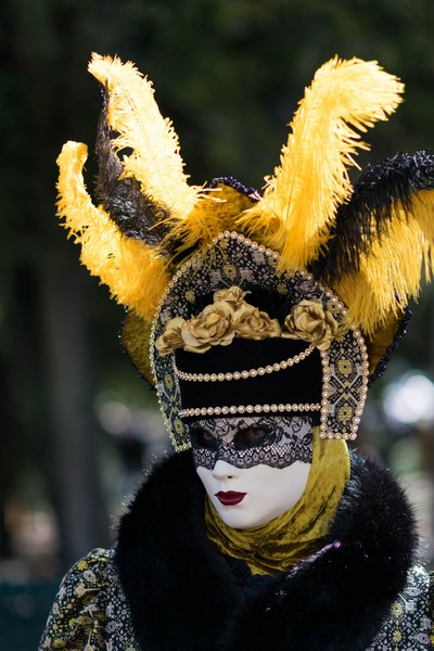 Carnaval Vénitien Annecy 2019 - 00006