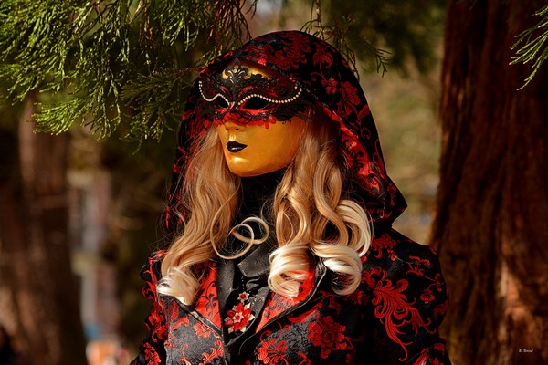 Carnaval Vénitien Annecy 2019 - 00008