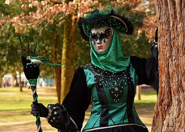 Carnaval Vénitien Annecy 2019 - 00009