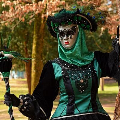 Carnaval Vénitien Annecy 2019 - 00009