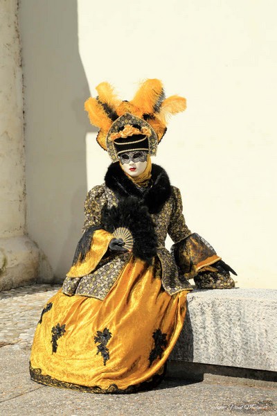  Georges MENAGER - Carnaval Vénitien Annecy 2019 - Carnaval Vénitien Annecy 2019
