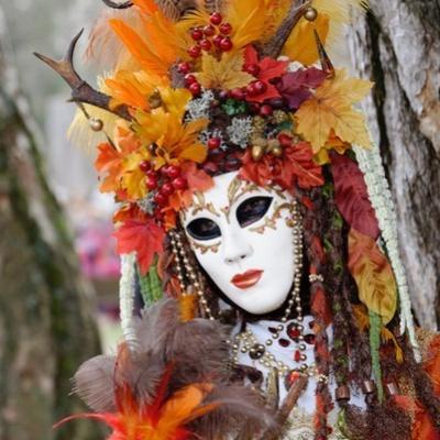 Carnaval venitien annecy 2022 66