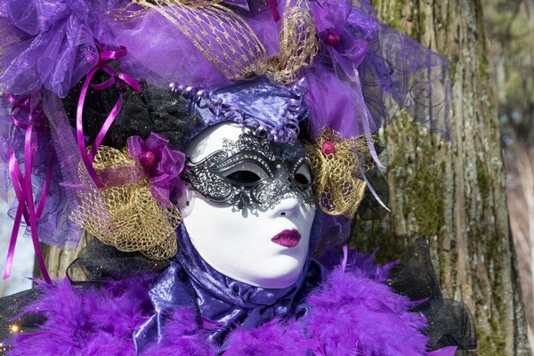 Celestino VUILLERMOZ - Carnaval Vénitien Annecy 2017 - 00009