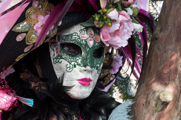 Celestino VUILLERMOZ - Carnaval Vénitien Annecy 2017 - 00014