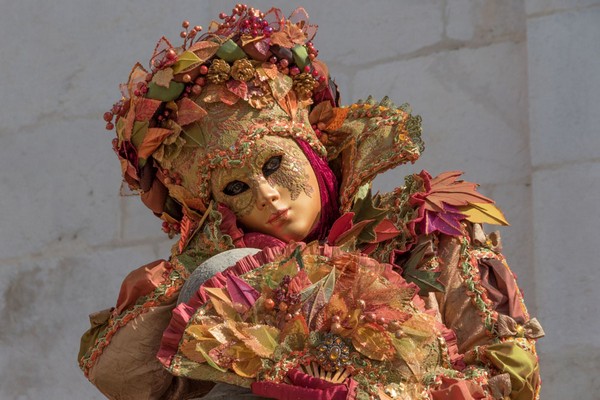 Celestino VUILLERMOZ - Carnaval Vénitien Annecy 2017 - 00037