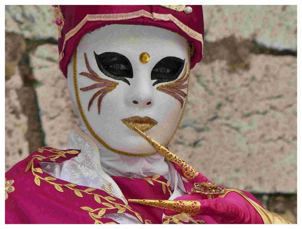 Christian OSTORERO - Carnaval Vénitien Annecy 2017 - 00009