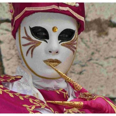 Christian OSTORERO - Carnaval Vénitien Annecy 2017 - 00009