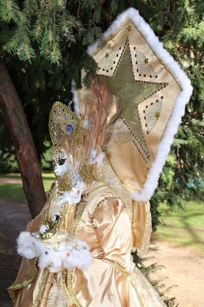 Christian QUILLON - Carnaval Vénitien Annecy 2017 - 00005