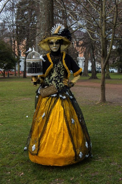 Damien BERNARD - Carnaval Vénitien Annecy 2017 - 00015