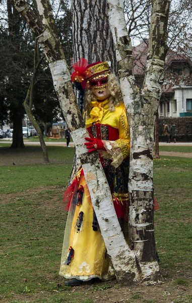 Damien BERNARD - Carnaval Vénitien Annecy 2017 - 00027