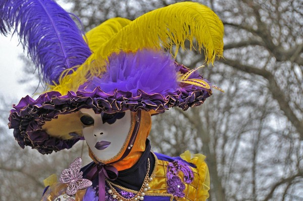 Daniel HEM - Carnaval Vénitien Annecy 2017 - 00009