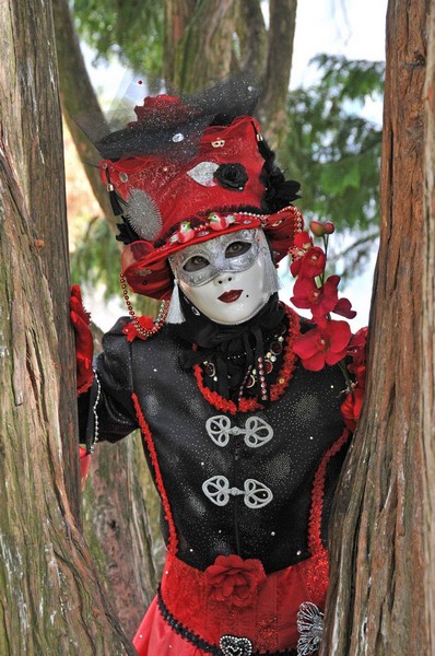 Daniel HEM - Carnaval Vénitien Annecy 2017 - 00018