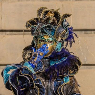 Djamal BENZEGHIBA - Carnaval Vénitien Annecy 2017 - 00007