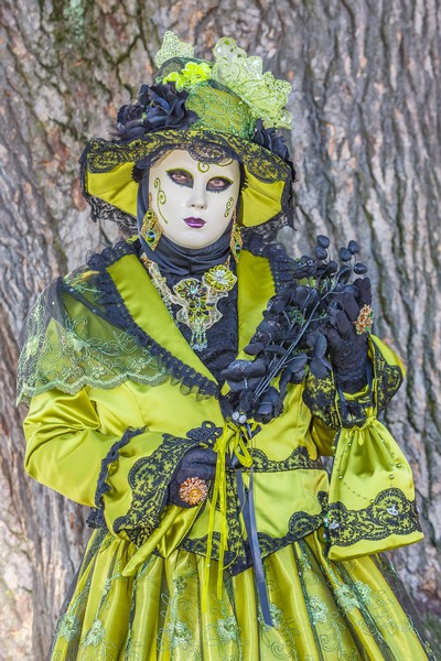 Gérard MATHIEU - Carnaval Vénitien Annecy 2017 - 00001