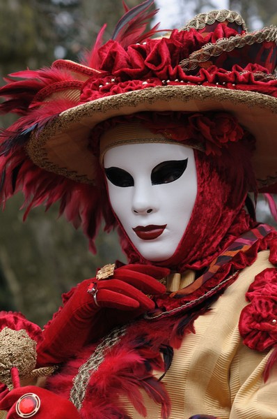 Hervé GOISET - Carnaval Vénitien Annecy 2016