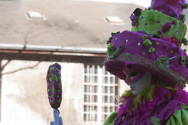 Hervé GOISET - Carnaval Vénitien Annecy 2016