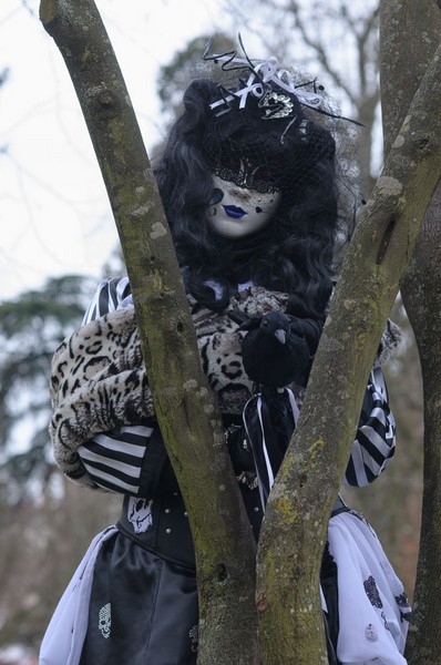 Hervé GOISET - Carnaval Vénitien Annecy 2016