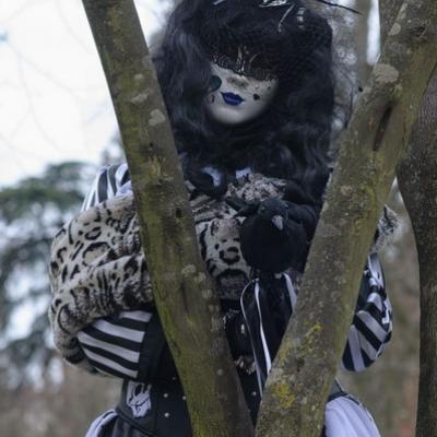 Hervé GOISET - Carnaval Vénitien Annecy 2016