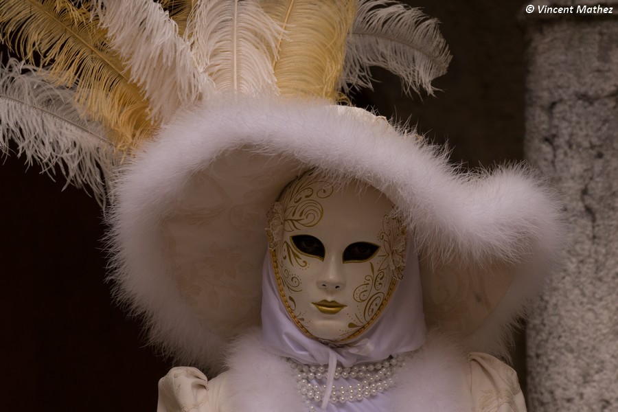 Vincent MATHEZ - Carnaval Vénitien Annecy 2018