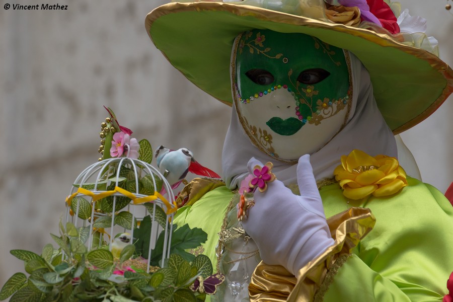 Vincent MATHEZ - Carnaval Vénitien Annecy 2018