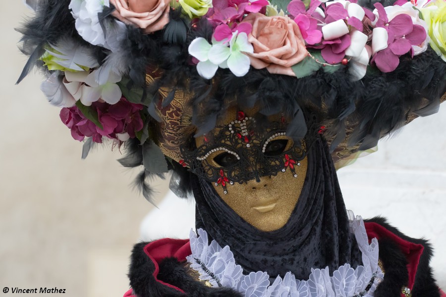 Vincent MATHEZ - Carnaval Vénitien Annecy 2018