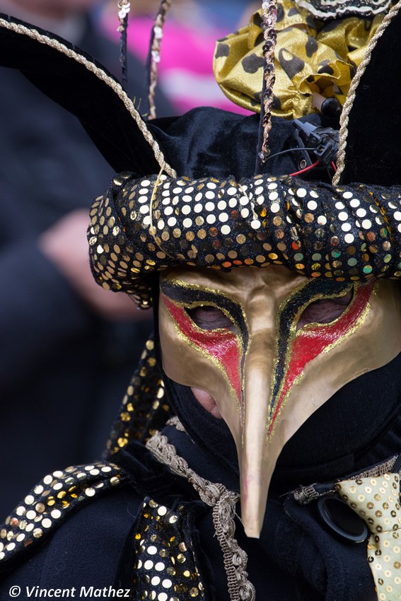 Vincent MATHEZ - Carnaval Vénitien Annecy 2018