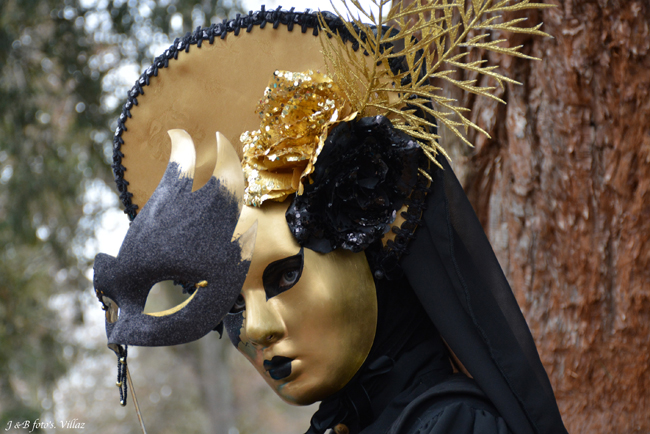 Bruno VAGNOTTI - Carnaval Vénitien Annecy 2018