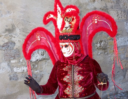 Michel Rayot - Carnaval Vénitien Annecy 2016